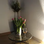 Teuta House ザダル